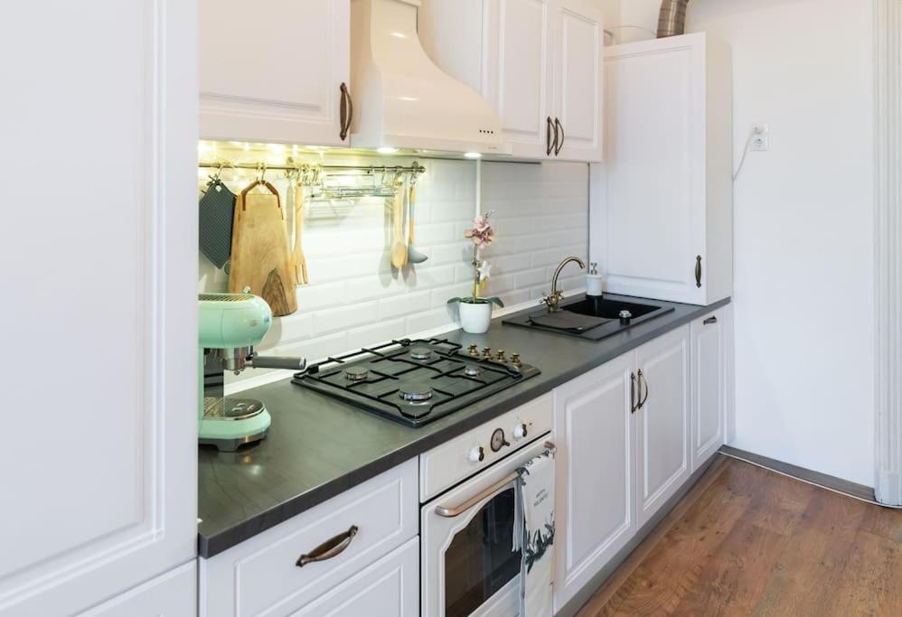No.8: Lovely & Cosy 3-Room Heart Of The City Тімішоара Екстер'єр фото