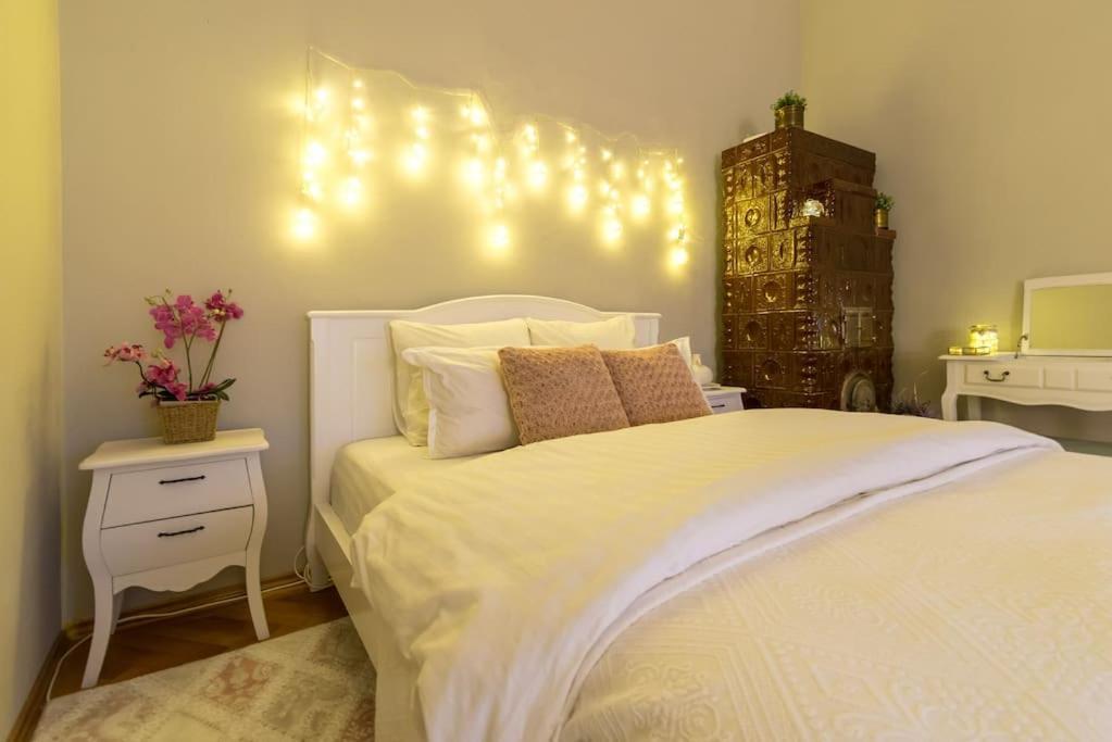 No.8: Lovely & Cosy 3-Room Heart Of The City Тімішоара Екстер'єр фото