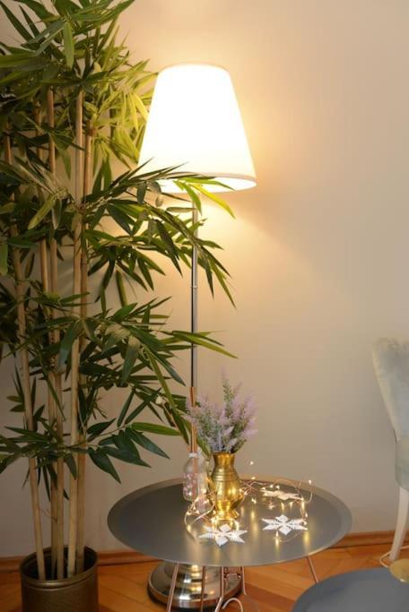 No.8: Lovely & Cosy 3-Room Heart Of The City Тімішоара Екстер'єр фото